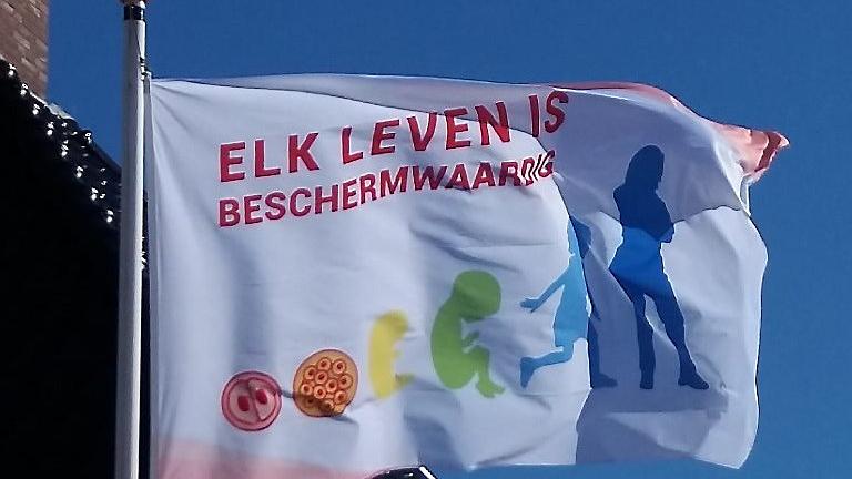 Levensvlag